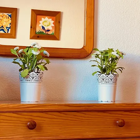 Apartament Flat With Terrace In Puerto Rico *