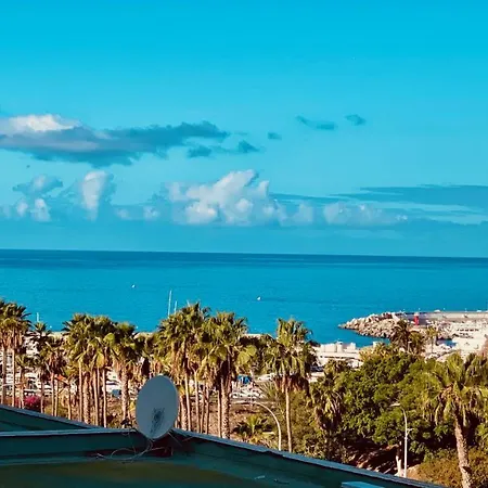 Flat With Terrace In Puerto Rico